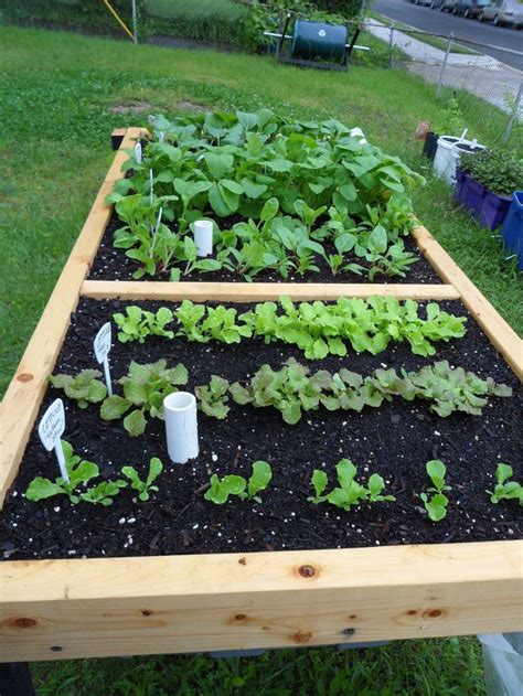 20 Best Images About Pallet Table Planting On Pinterest Gardens