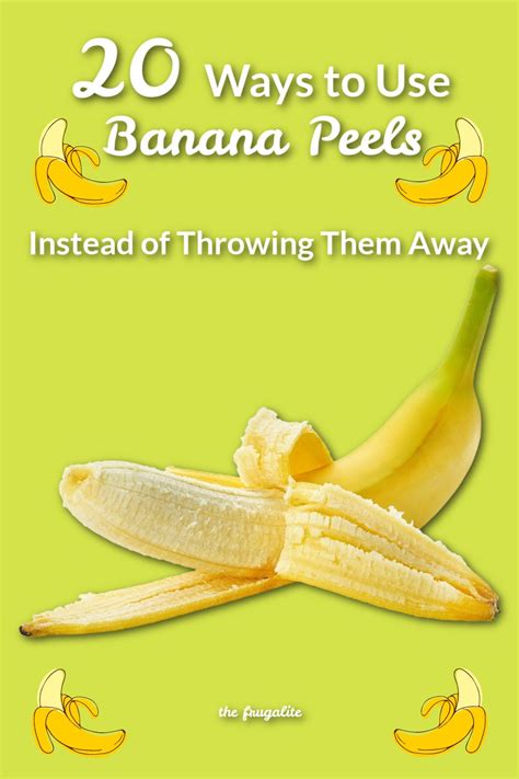 20 Ways To Use Banana Peels The Frugalite