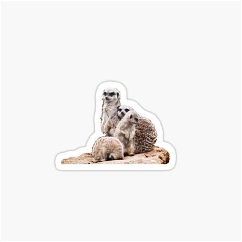 Meerkats Sticker For Sale By Lissywitch Redbubble
