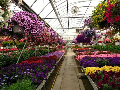 Whats Blooming And In Color At Ww Garden Center Displays Garden