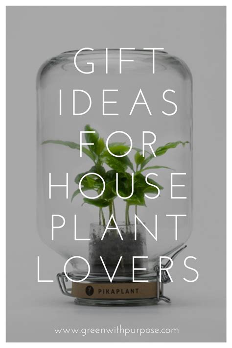 Welcome to a real plant family. 26 Ideas for Gifts for Plant Lovers | Gifts, 10th ...