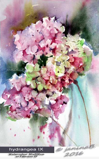 284 Best Watercolor Hydrangeas Images On Pinterest