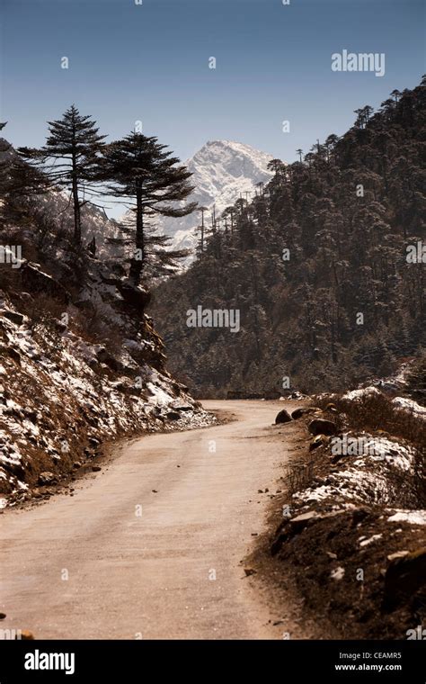 India Arunachal Pradesh Sela Road Passing Through Pine Forest Below