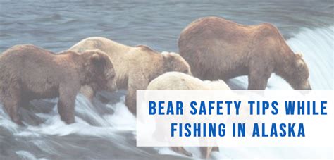 Bear Safety Tips While Fishing In Alaska Alaska Homes For Sale