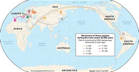 Homo Sapiens Modern Populations Migration Adaptation Britannica