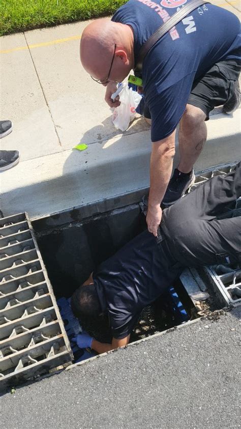 Police Officer Saves 8 Ducklings Trapped In Storm Drain Montgomery Community Media
