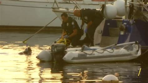 Body Found Floating In San Diego Bay Harbor Police Nbc Los Angeles