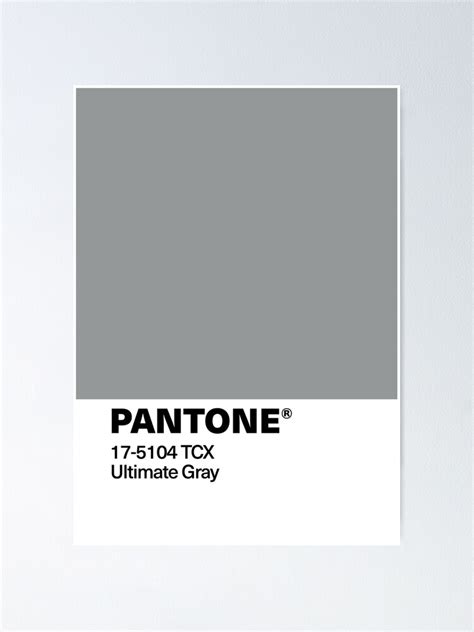 Póster Color Pantone Del Año 2021 Ultimate Grey 17 5104 Tcx De