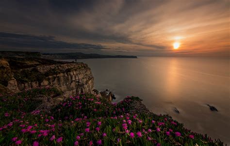 Wallpaper Sea Sunset Flowers Rocks Coast Spain Spain The Bay Of