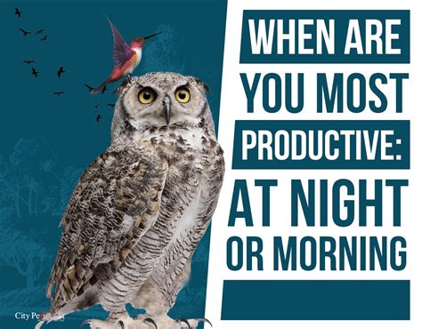When Are You Most Productive: Late Night Vs. Early Morning?