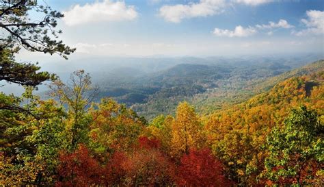 4 Interesting Facts About Fall In Pigeon Forge Tn And The Smoky Mountains