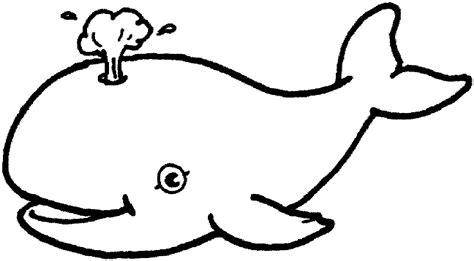 Animal Coloring Pages 9 Coloring Kids
