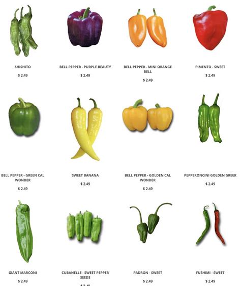 Like Sweet Peppers We Have Lots Of Varieties Of Sweet Chile Peppers That Are Sure To Please