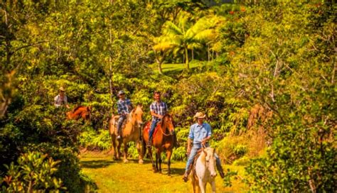 Horseback Riding Adventure Kauai