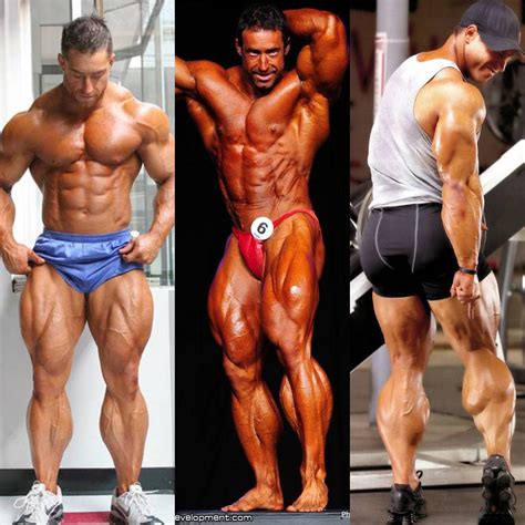 Best Bodybuilding Images On Pholder Bodybuilding Progresspics And Nattyorjuice