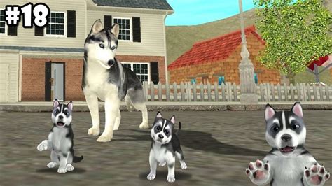 Dog Sim Online Siberian Husky Android Ios Gameplay Part 18