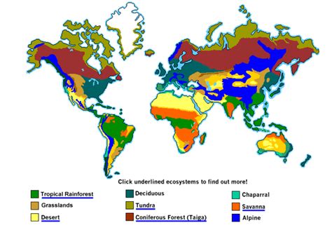 Define habitat by webster's dictionary, wordnet lexical database, dictionary of computing, legal dictionary, medical dictionary, dream dictionary. Deserts Habitat | Definition, Location, Animals & Plants