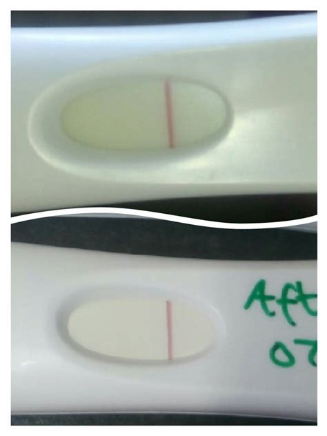 First Responsepositive Or A Indent Or Evap Line 12dpo