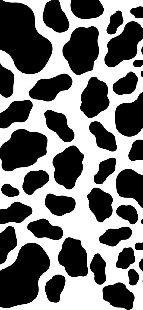 Cow Iphone Wallpapers Free Download