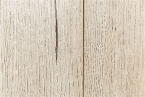 Surface And Texture Of Light Wood Floor And Furniture Decor And