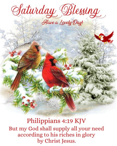 Cardinals In Winter Saturday Blessing Have A Lovely Day Pictures