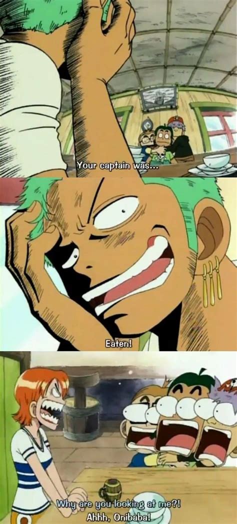Zoro Is Always Funny One Piece Funny One Piece Pictures One