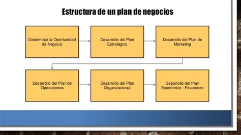 Estructura De Plan De Negocios