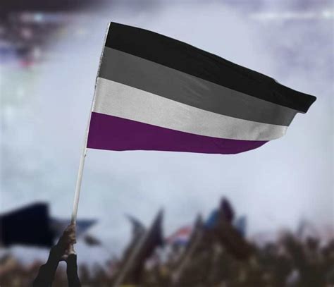 Asexual Pride Flag Flags For Good