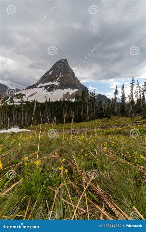 Amazing Shot Of A Mountain Covered In Snow In Glacier National Park In