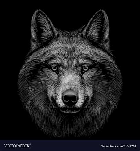 Portrait A Wolfs Head On A Black Background Vector Image