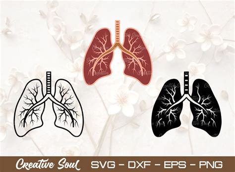 Human Lungs Svg Bundle Cut File Graphic By Creative Soul · Creative
