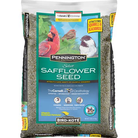Buy Pennington Select Safflower Seed Wild Bird Feed And Seed 7 Lb