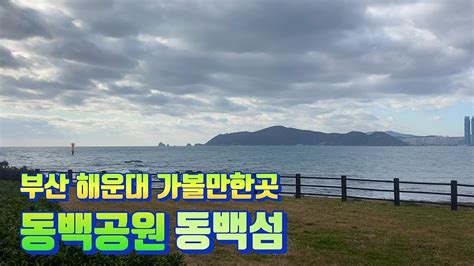 부산 여행코스 해운대 가볼만한곳 동백공원 동백섬 Youtube