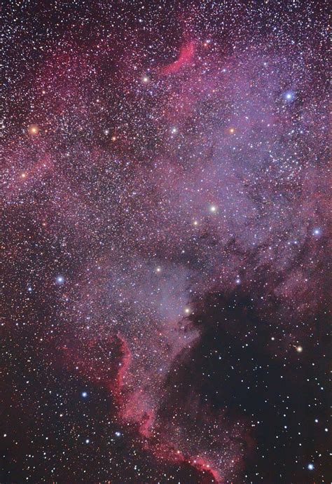 Ngc 7000 North America Nebula Astronomy Pictures At Orion Telescopes