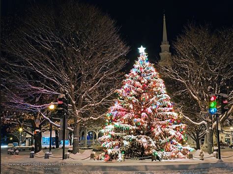 This Beautiful Snow Flocked Christmas Tree Is At Central Square In
