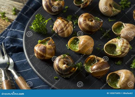 Fancy French Hot Escargot Appetizer Stock Image Image Of Garlic