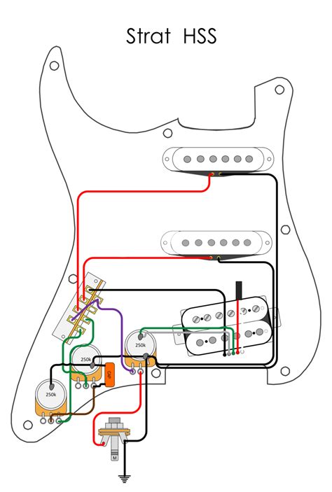 Fender Strat Wiring Diagram Guitar Pickup Diagram
