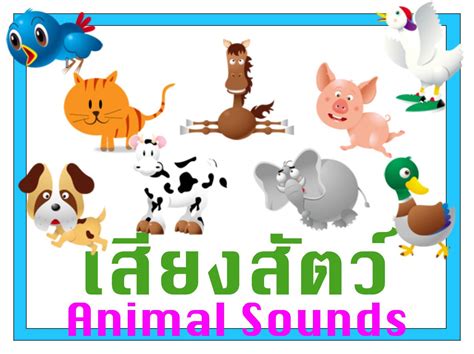 เสียงสัตว์ต่างๆ Animal Sounds Apk For Android Download