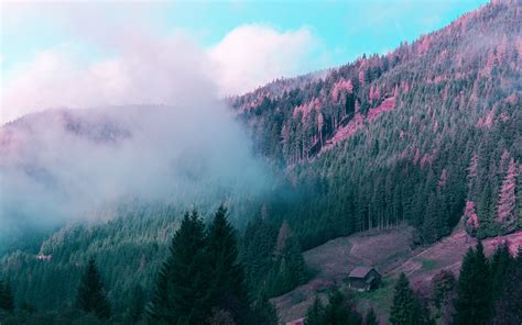 Download Wallpaper 3840x2400 Mountains House Trees Forest Fog 4k