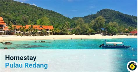 Aunque la pequeña isla malaya de pulau redang tiene un minúsculo aeropuerto, lo cierto es que la mayor parte de los visitantes llegan en barco. Homestay di Pulau Redang © LetsGoHoliday.my