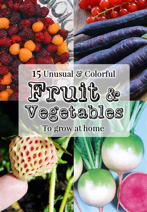 Karen santos jul 28, 2021. 15 Unusual fruits & veg for the home garden