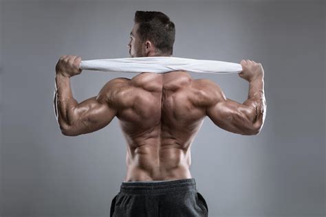 If never we notice our lower back muscles, they are most prominent when they are in pain. Awesome Traps Workout For Your Gym Routine!