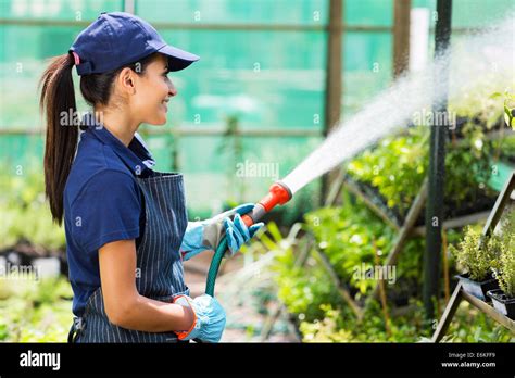 Pretty Female Nursery Worker Watering Plants In Greenhouse Stock Photo