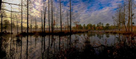 Sunrise Along The Mullica River In Pinelands Photograph By Louis