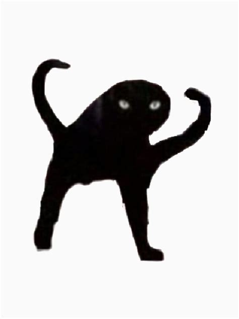 Weird Black Cat Meme Sticker T Shirt By Lucybee28 Redbubble