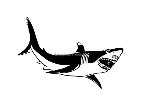 Shark Svg Silueta De Tiburón Dxf Shark Clipart Corte Shark Etsy México