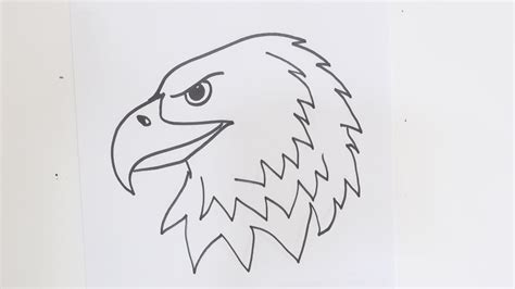 How To Draw A Bald Eagle Head Easy Graves Mcfaine