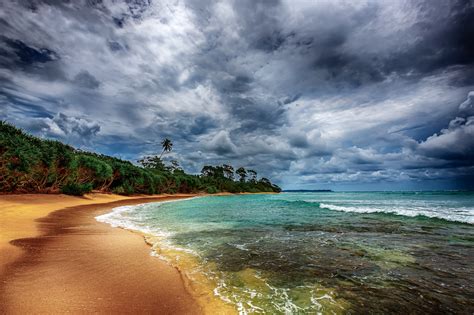 Wallpaper Landscape Forest Sea Bay Nature Shore Sand Sky