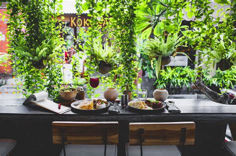 How To Use Plants In Restaurant Interior Or Cafe Interior