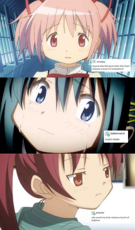 Madoka Memes Magical Girl Anime Modoka Magica Anime